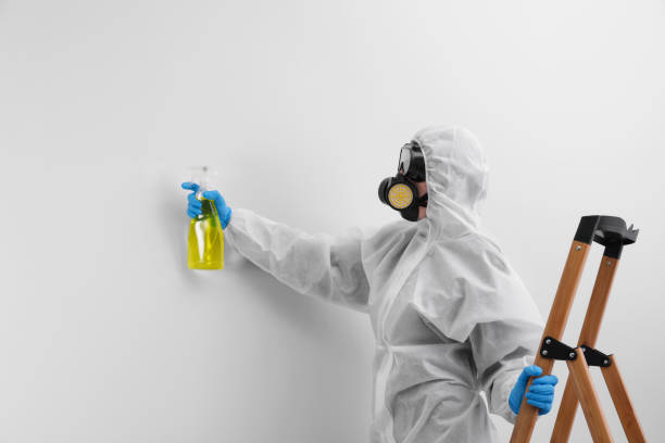 Why You Should Choose Our Mold Remediation Services in Sweetwater, TN